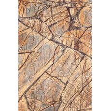 Rainforest Brown 600*900